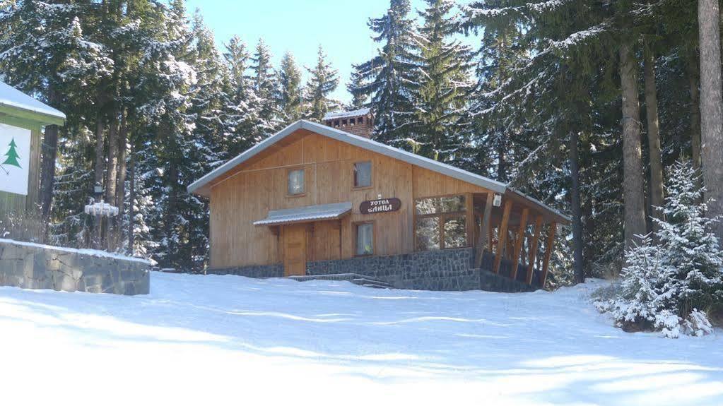 Elitza Villa Pamporovo Exterior photo
